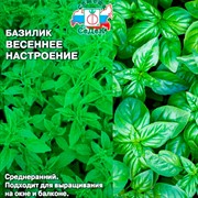 Базилик Весеннее настроение 0,2г - фото 78444