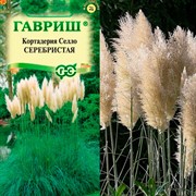 Кортадерия Серебристая 0,01г - фото 78601