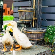 Умывальник садовый с ведёрком и кадкой стеклопластик высота 100см U07563 - фото 79546