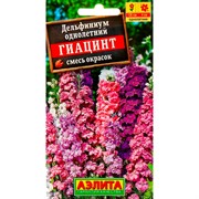 Дельфиниум Гиацинт - фото 80772