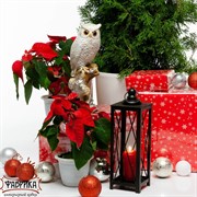 Фигура Филин на ветке белый с золотом F01243-WG - фото 8100