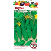 Огурец Изящный 0,5г - фото 82908