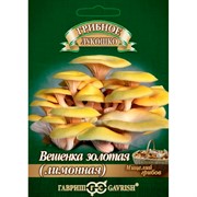 Вешенка золотая Лимонная на древесной палочке 12шт - фото 84821