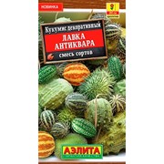 Кукумис декоративный Лавка антиквара - фото 86845