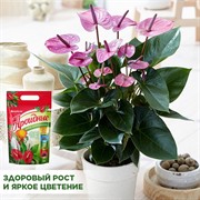 Набор компонентов БиоМастер для Ароидных 2л (15) - фото 86888