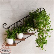 Подставка настенная Лестница с деревом на 4 цветка 13-814 - фото 8747 Подставка настенная Лестница с деревом на 4 цветка 13-814 - фото 8747