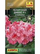 Пеларгония Дивас F1 клубника - фото 87765
