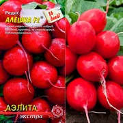 Редис Алёшка - фото 90646
