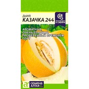 Дыня Казачка 244 1г - фото 91222