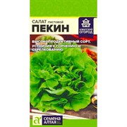 Салат Пекин 0,5г - фото 91247