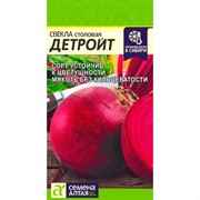 Свёкла Детройт 2г - фото 91329