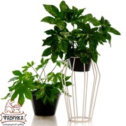 Подставка для цветов напольная Лофт высота 50см кованая 66-402 - фото 9150