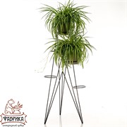 Подставка для цветов напольная Лофт металл высота 123см 66-426 - фото 9279 Подставка для цветов напольная Лофт металл высота 123см 66-426 - фото 9279