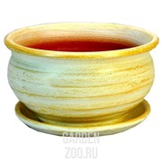 Горшок ФИАЛОЧНИЦА 2 - фото 9742 Горшок ФИАЛОЧНИЦА 2 - фото 9742