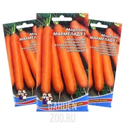 Морковь Мармелад F1 - фото 9947